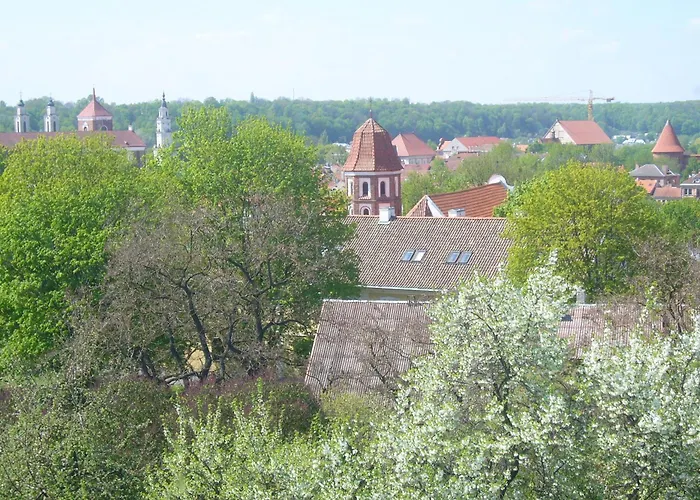 Lägenhetshotell Family Kaunas