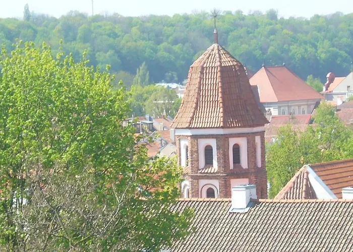 Lägenhetshotell Family Kaunas